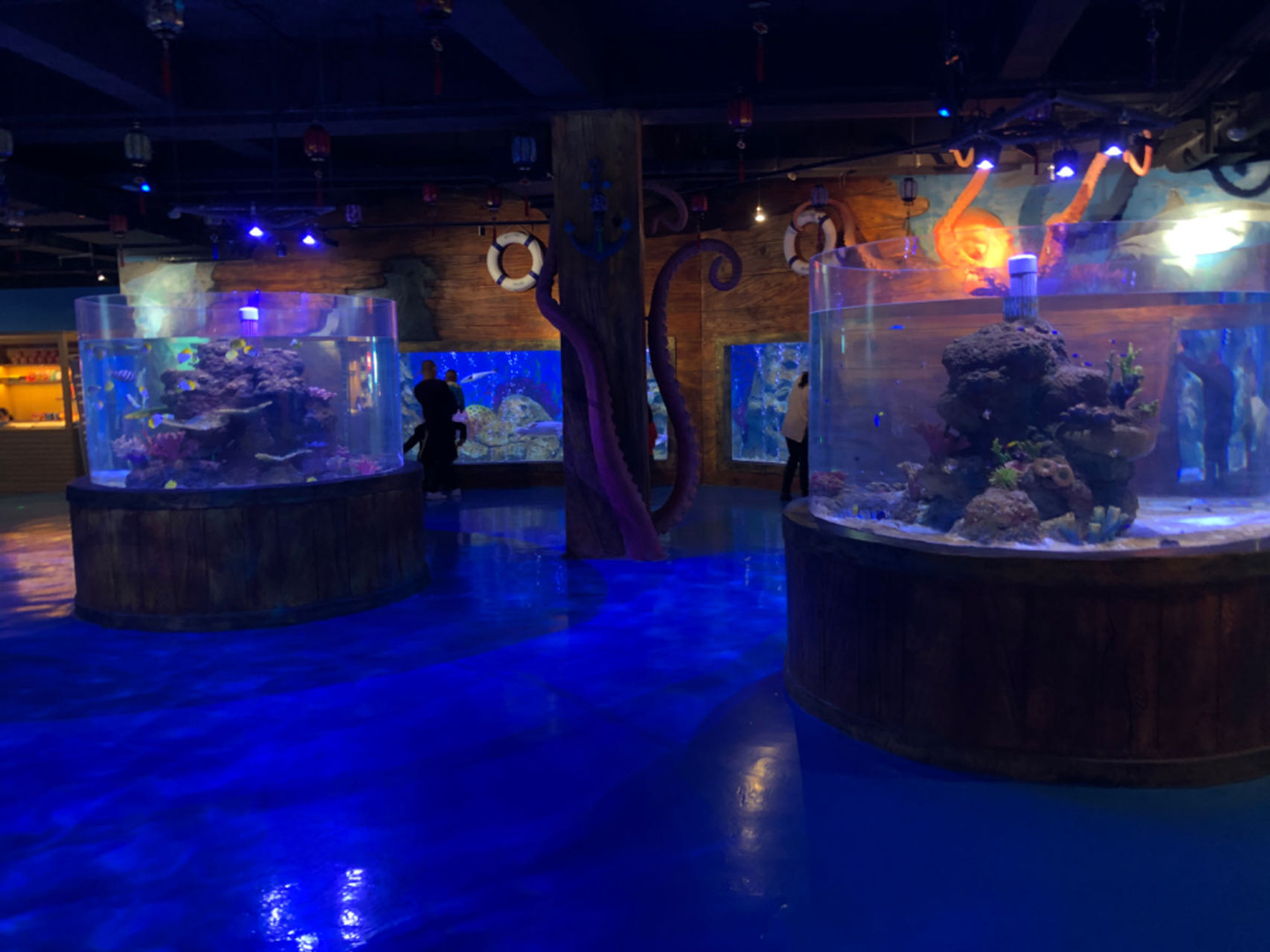 การแนะนำระบบช่วยชีวิตปลาอะคริลิค