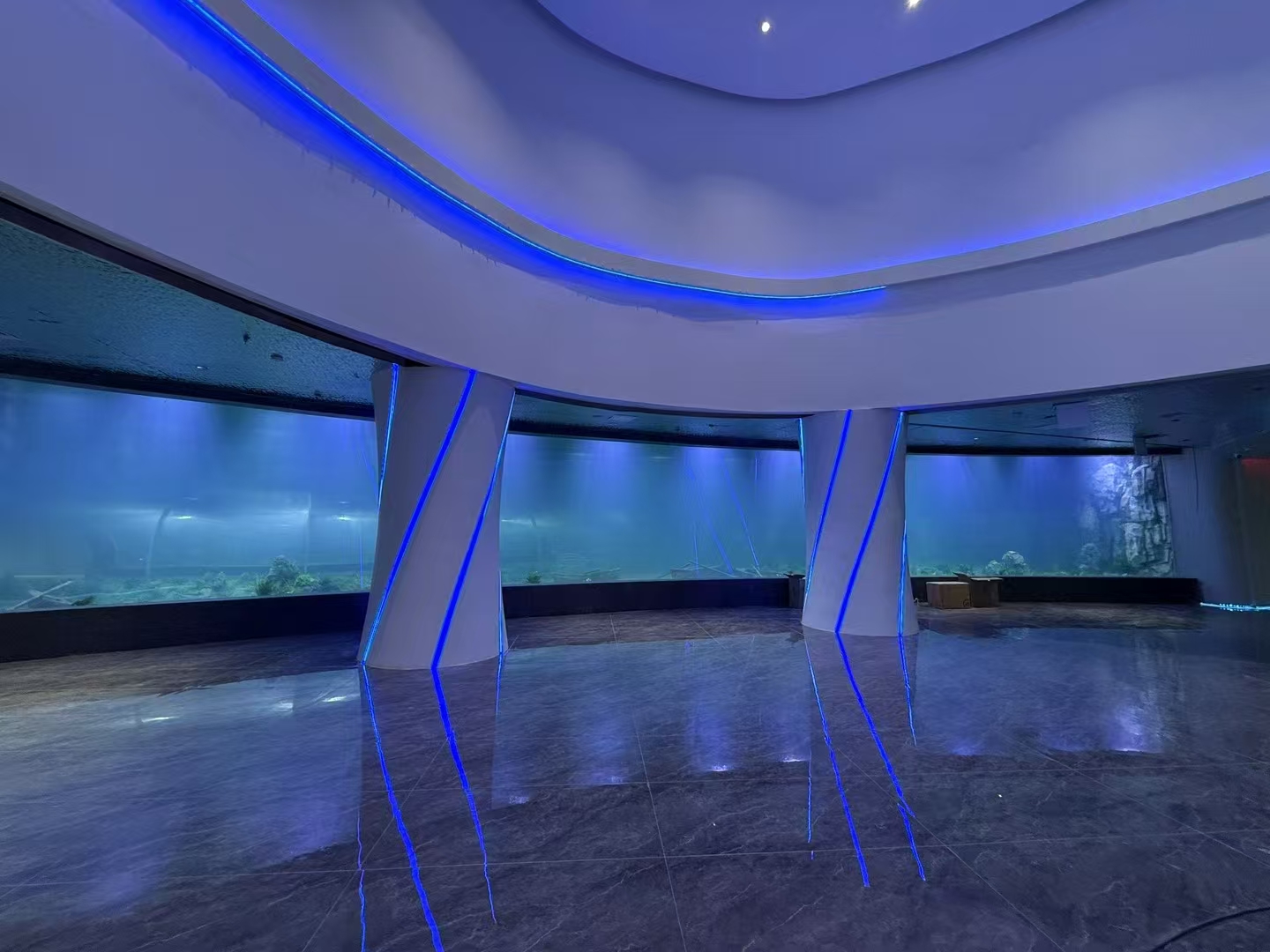 อะไรคือข้อดีของแผ่นอะคริลิคในหน้าต่างพิพิธภัณฑ์สัตว์น้ำขนาดใหญ่?